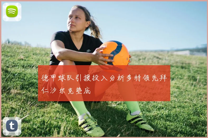 德甲球队引援投入分析多特领先拜仁沙尔克垫底