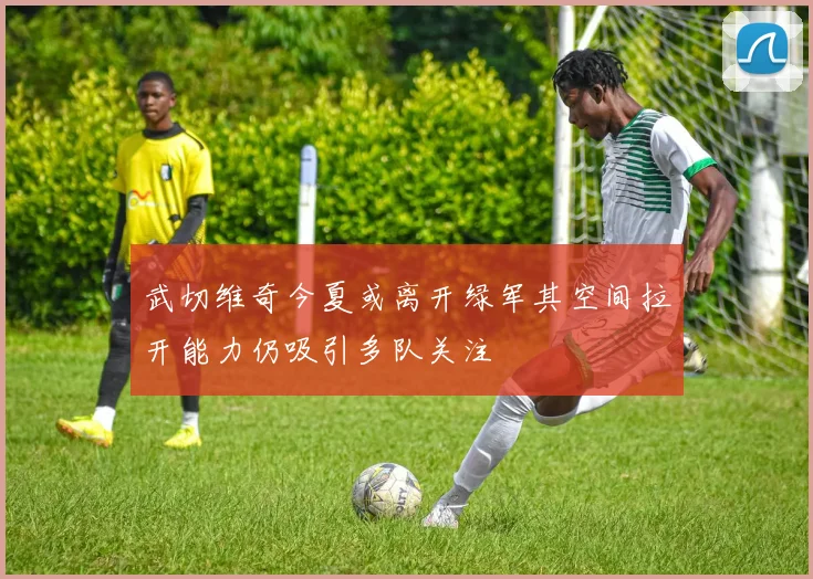 武切维奇今夏或离开绿军其空间拉开能力仍吸引多队关注